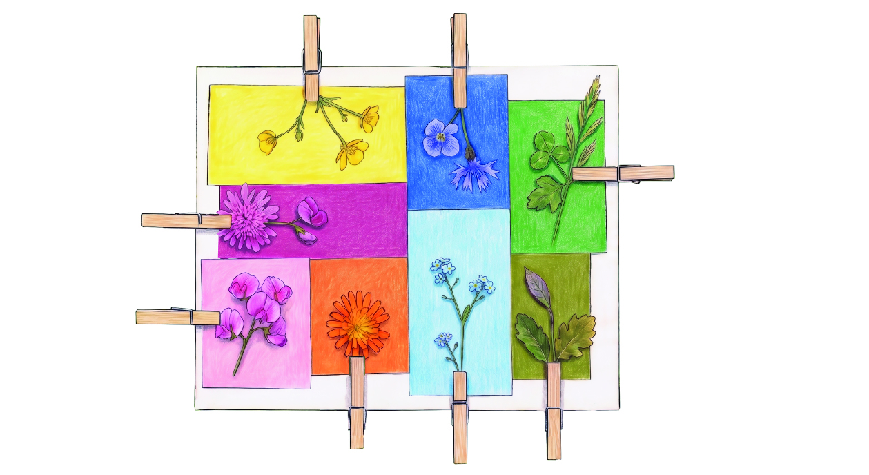 Mosaicos de colores y flores